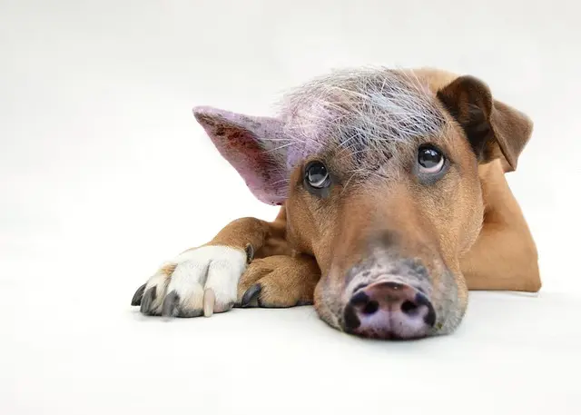 Essential Mistakes to Avoid in Spiritual Coaching